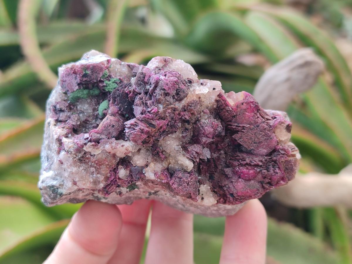 Natural Salrose Cobaltion Dolomite Specimens with Crystalline Malachite Crystals x 6 From Kakanda, Congo