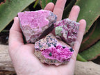 Natural Salrose Cobaltion Dolomite Specimens with Crystalline Malachite Crystals x 6 From Kakanda, Congo