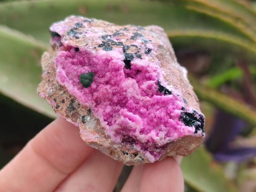Natural Salrose Cobaltion Dolomite Specimens with Crystalline Malachite Crystals x 6 From Kakanda, Congo