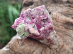 Natural Salrose Cobaltion Dolomite Specimens with Crystalline Malachite Crystals x 6 From Kakanda, Congo