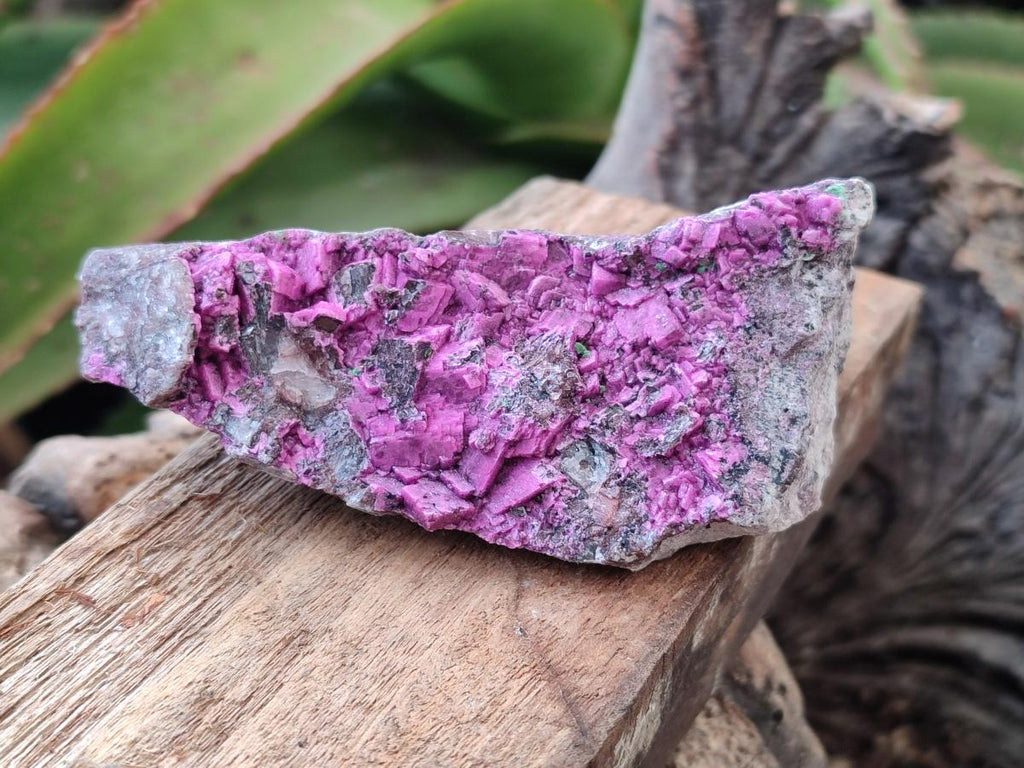 Natural Salrose Cobaltion Dolomite Specimens with Crystalline Malachite Crystals x 6 From Kakanda, Congo