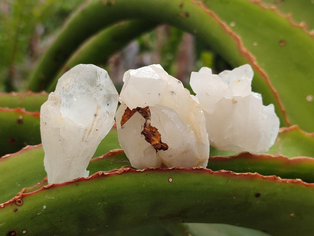 Natural Hollandite Star Quartz Crystal Clusters x 20 From Congo