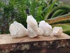 Natural Hollandite Star Quartz Crystal Clusters x 20 From Congo