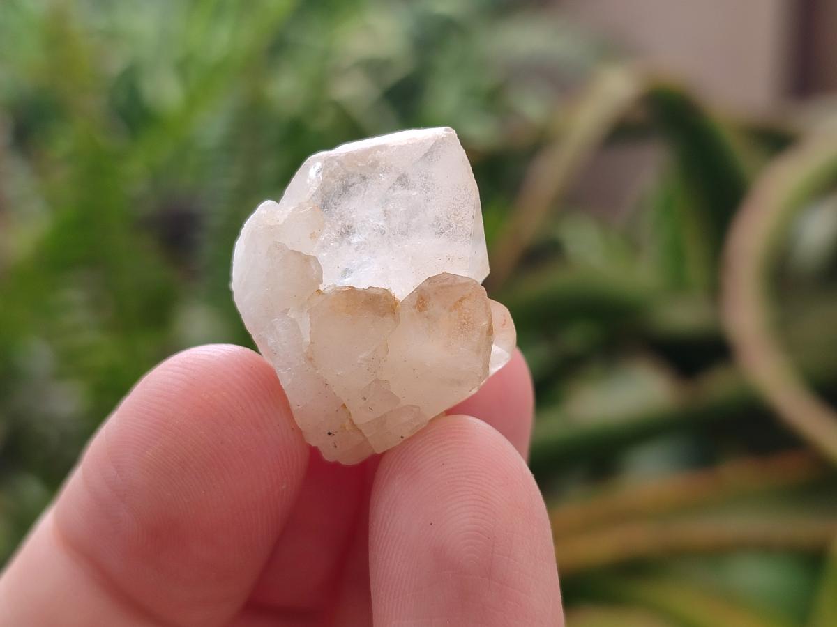 Natural Hollandite Star Quartz Crystal Clusters x 20 From Congo