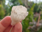 Natural Hollandite Star Quartz Crystal Clusters x 20 From Congo