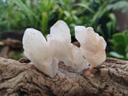 Natural Hollandite Star Quartz Crystal Clusters x 20 From Congo