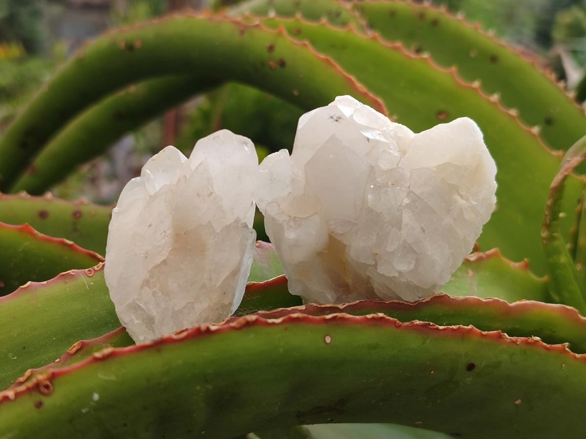Natural Hollandite Star Quartz Crystal Clusters x 20 From Congo
