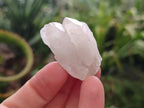 Natural Hollandite Star Quartz Crystal Clusters x 20 From Congo