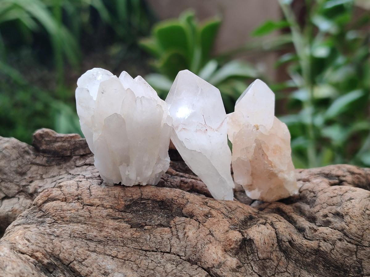 Natural Hollandite Star Quartz Crystal Clusters x 20 From Congo