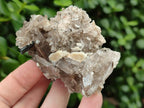 Natural Smokey Quartz Clusters with Associated Minerals x 13 From Zomba Plateau, Malawi - Toprock Gemstones and Minerals 