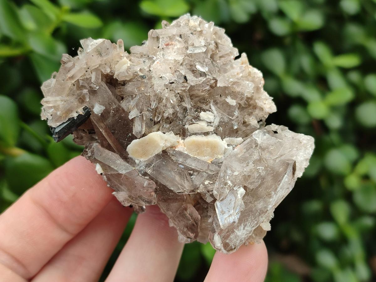 Natural Smokey Quartz Clusters with Associated Minerals x 13 From Zomba Plateau, Malawi - Toprock Gemstones and Minerals 
