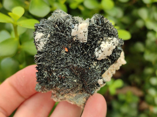 Natural Smokey Quartz Clusters with Associated Minerals x 13 From Zomba Plateau, Malawi - Toprock Gemstones and Minerals 