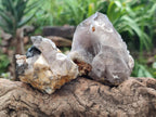 Natural Smokey Quartz Clusters with Associated Minerals x 13 From Zomba Plateau, Malawi - Toprock Gemstones and Minerals 