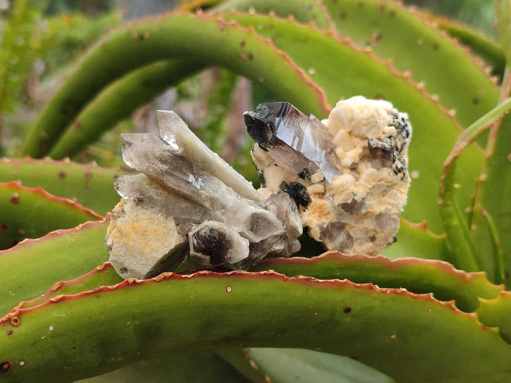 Natural Smokey Quartz Clusters with Associated Minerals x 13 From Zomba Plateau, Malawi - Toprock Gemstones and Minerals 