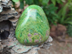 Polished Verdite Palm Stones x 6 From Zimbabwe - Toprock Gemstones and Minerals 