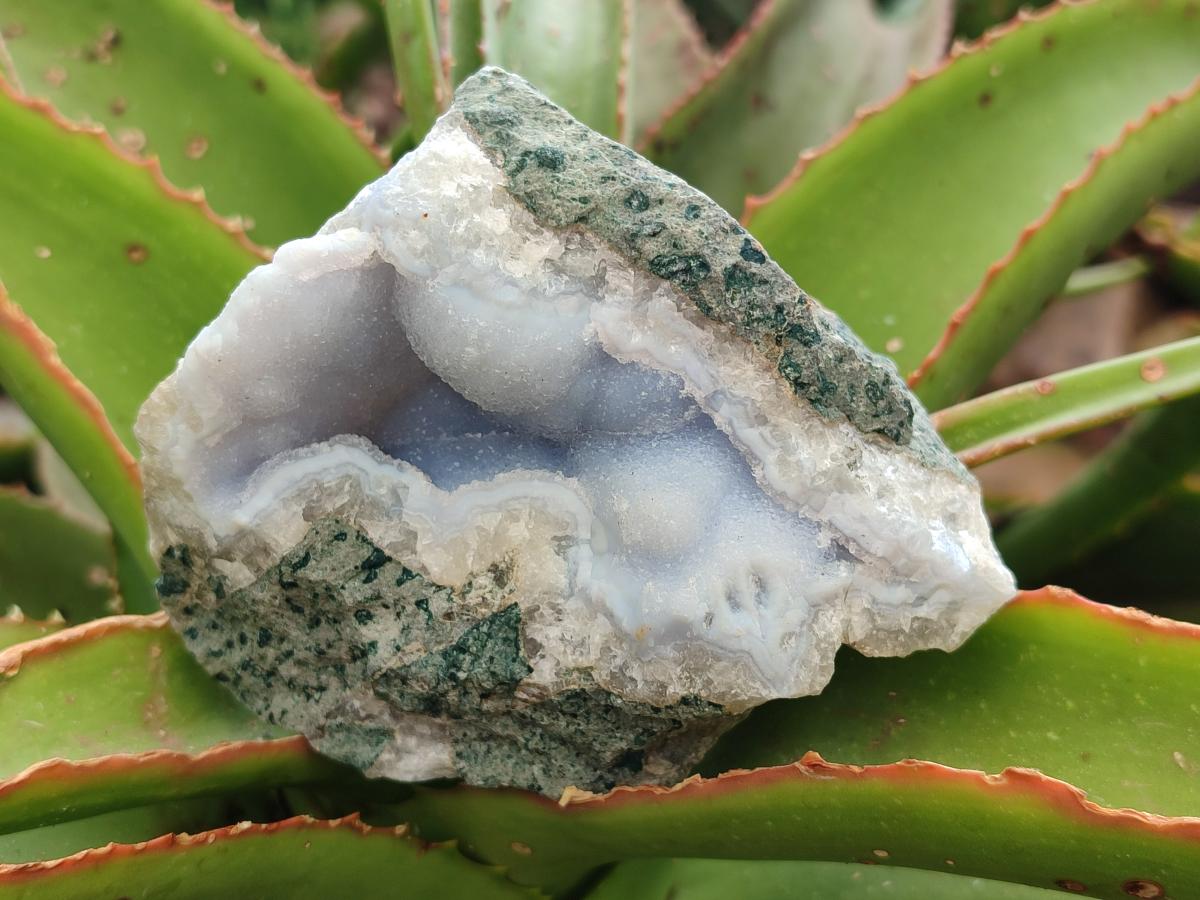 Natural Blue Lace Agate Geode Specimens x 6 From Nsanje, Malawi