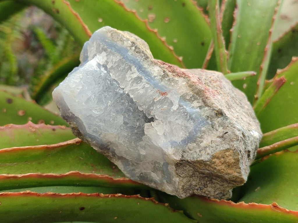Natural Blue Lace Agate Geode Specimens x 6 From Nsanje, Malawi