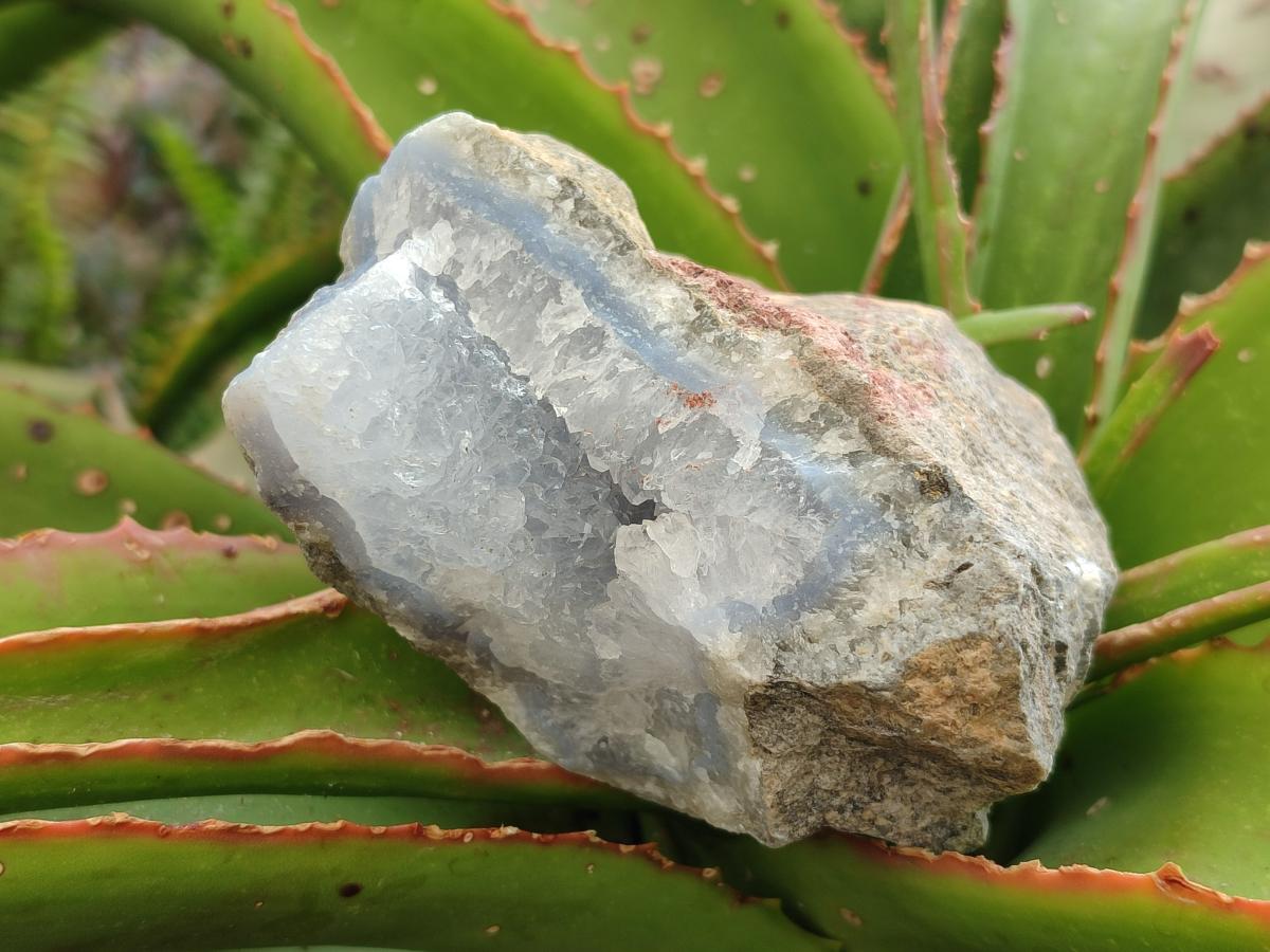 Natural Blue Lace Agate Geode Specimens x 6 From Nsanje, Malawi