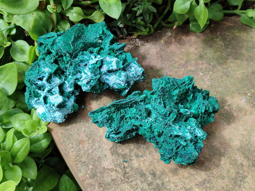 Natural Rare Malachite Pseudomorph Specimens x 2 From Kolwezi, Congo