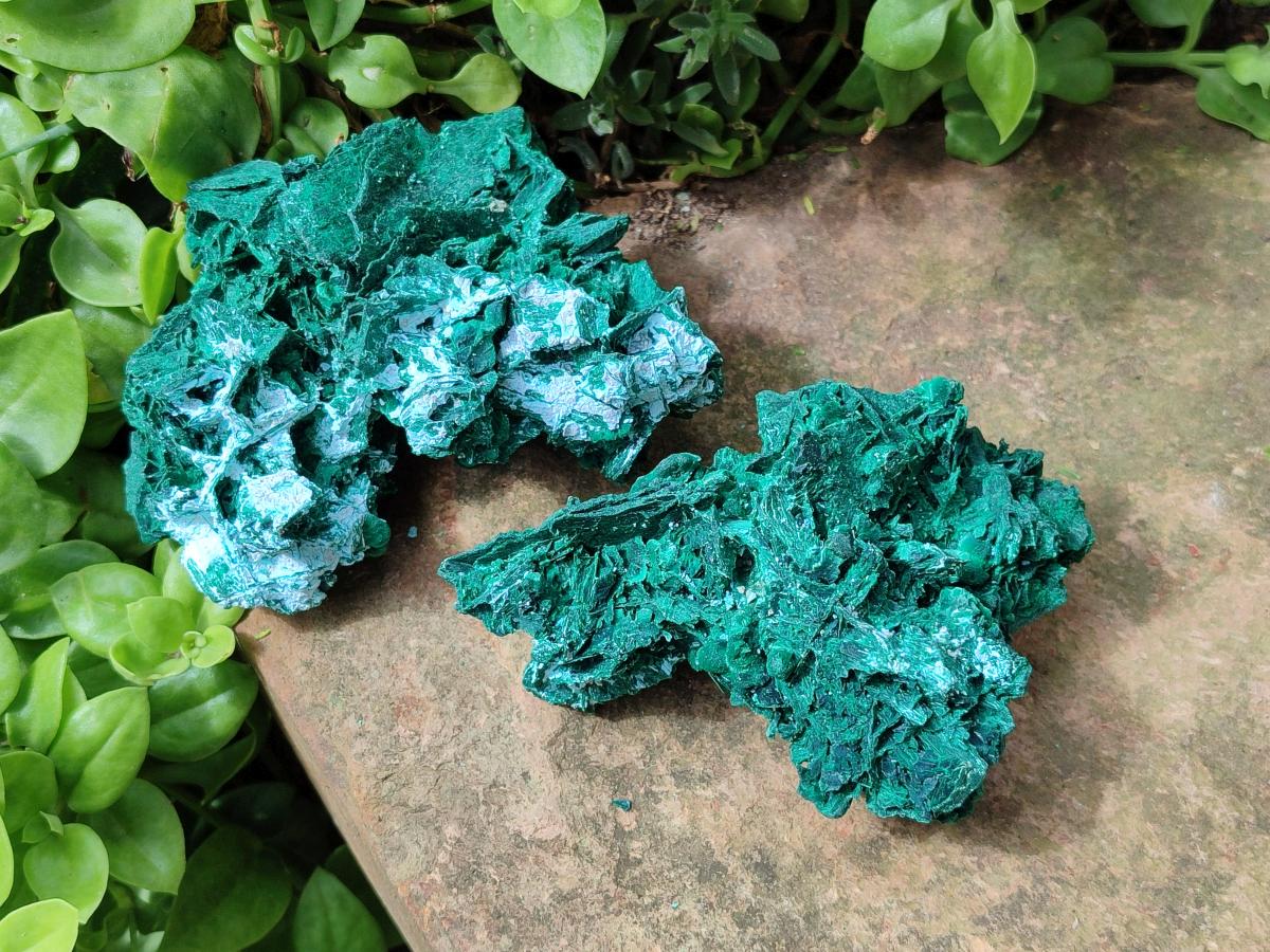 Natural Rare Malachite Pseudomorph Specimens x 2 From Kolwezi, Congo