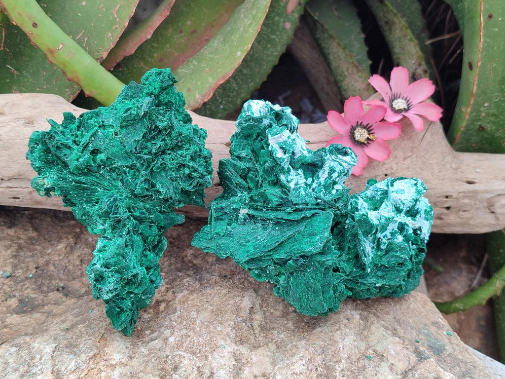 Natural Rare Malachite Pseudomorph Specimens x 2 From Kolwezi, Congo