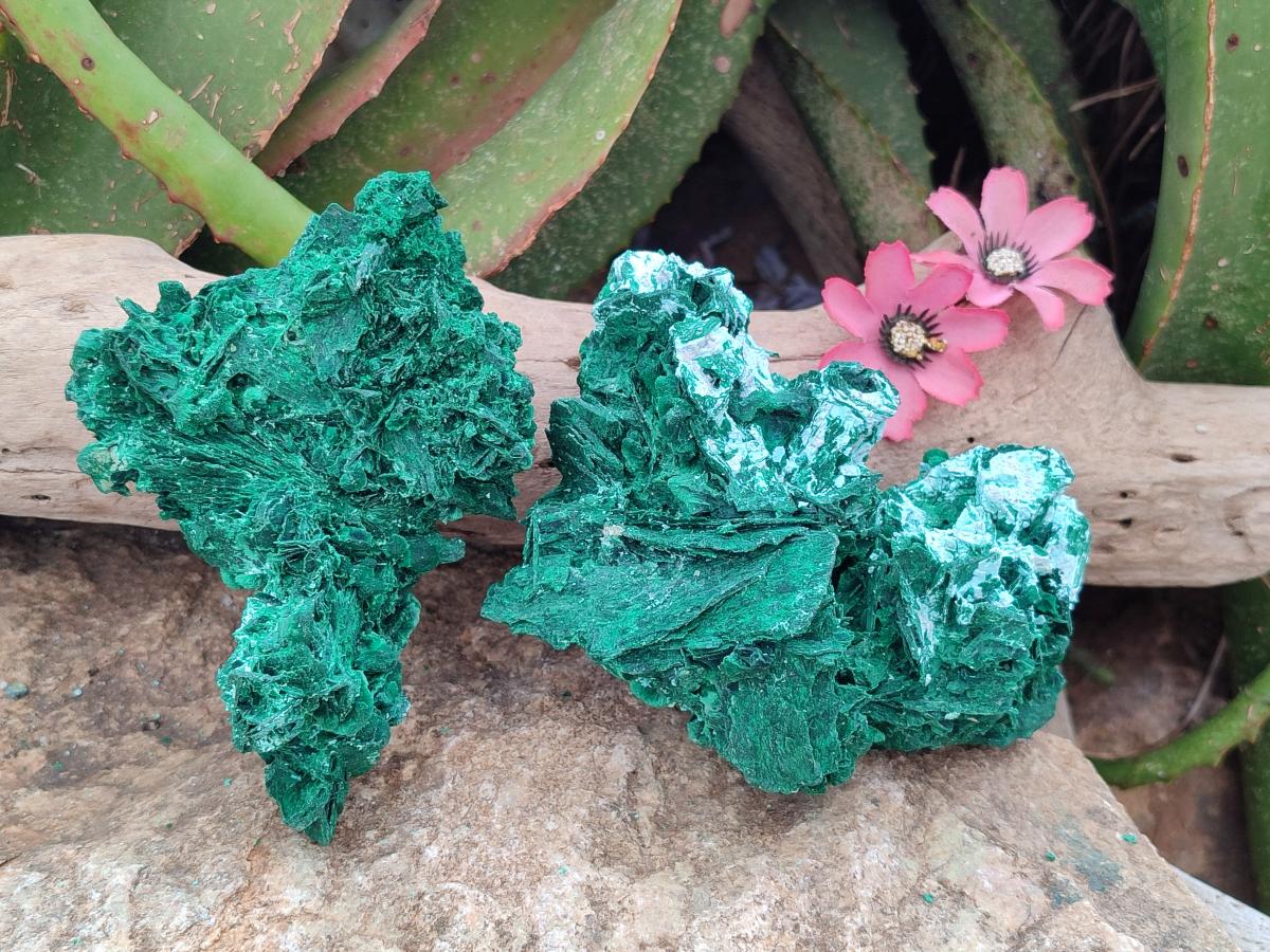 Natural Rare Malachite Pseudomorph Specimens x 2 From Kolwezi, Congo