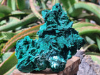 Natural Rare Malachite Pseudomorph Specimens x 2 From Kolwezi, Congo