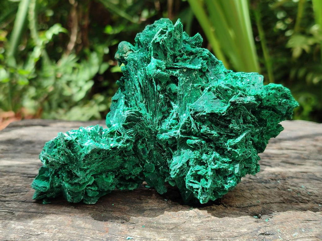 Natural Rare Malachite Pseudomorph Specimens x 2 From Kolwezi, Congo