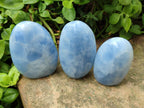 Polished Multi Mineral Standing Free Forms x 6 From Southern Africa - Toprock Gemstones and Minerals 