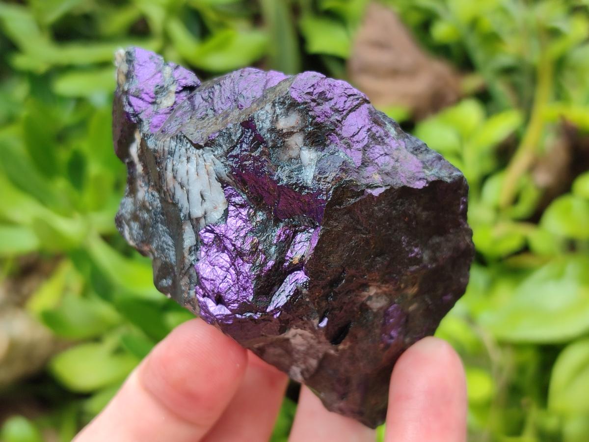 Natural Metallic Cobbed Purpurite Specimens x 12 From Erongo, Namibia