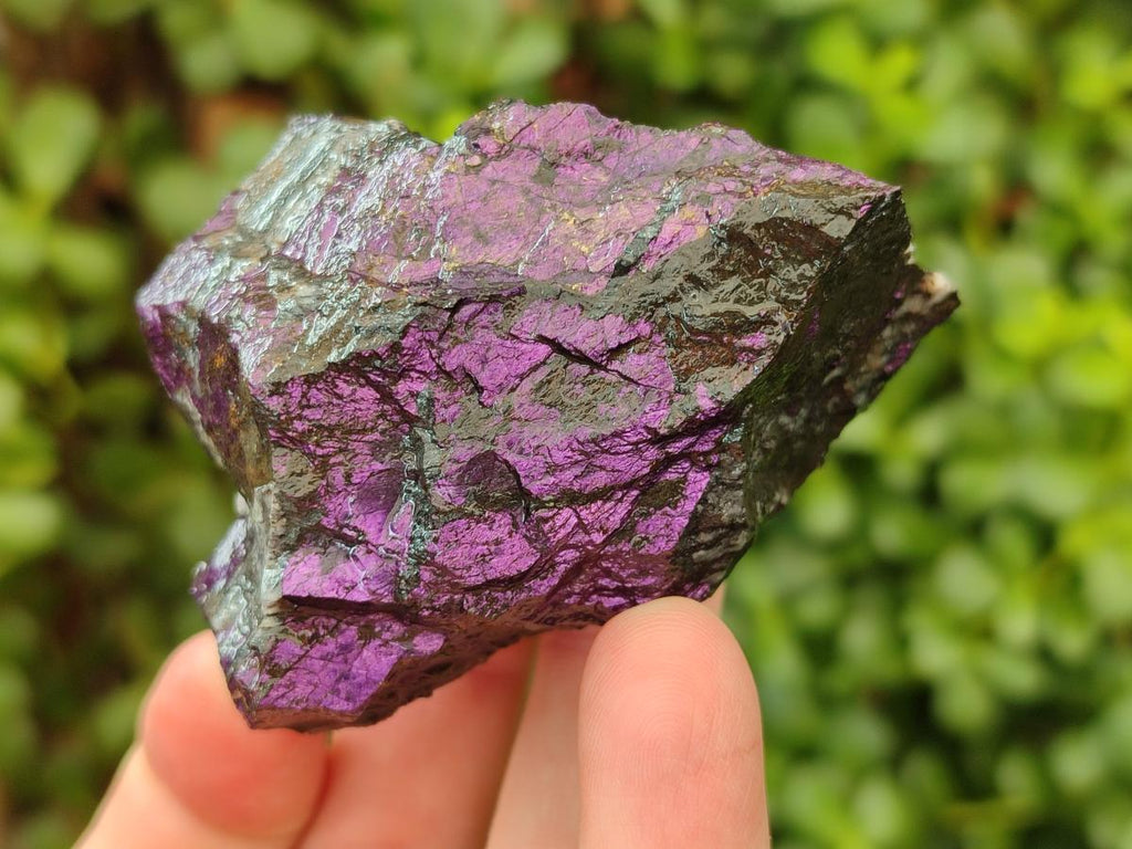 Natural Metallic Cobbed Purpurite Specimens x 12 From Erongo, Namibia