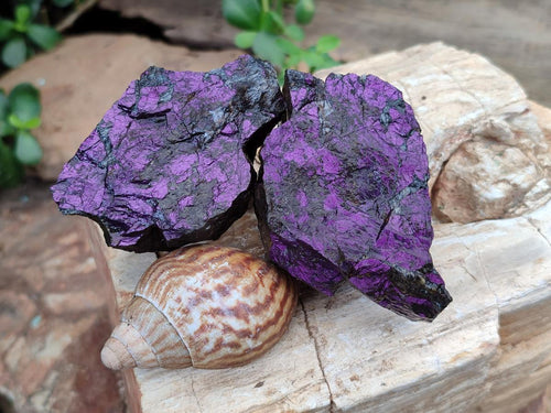 Natural Metallic Cobbed Purpurite Specimens x 12 From Erongo, Namibia