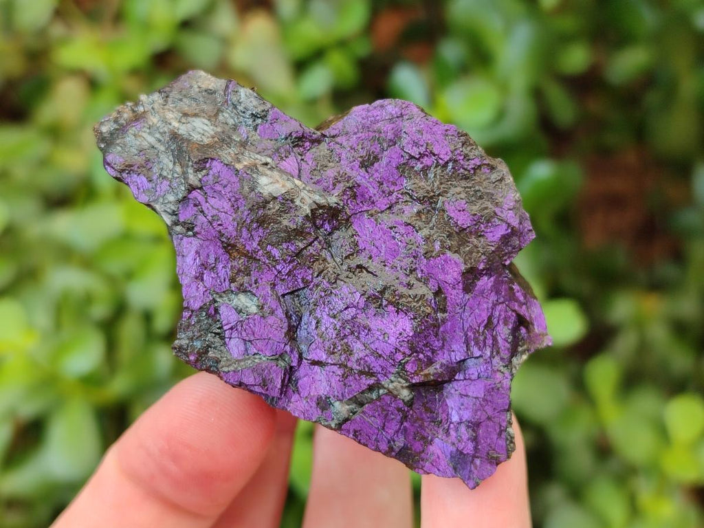Natural Metallic Cobbed Purpurite Specimens x 12 From Erongo, Namibia
