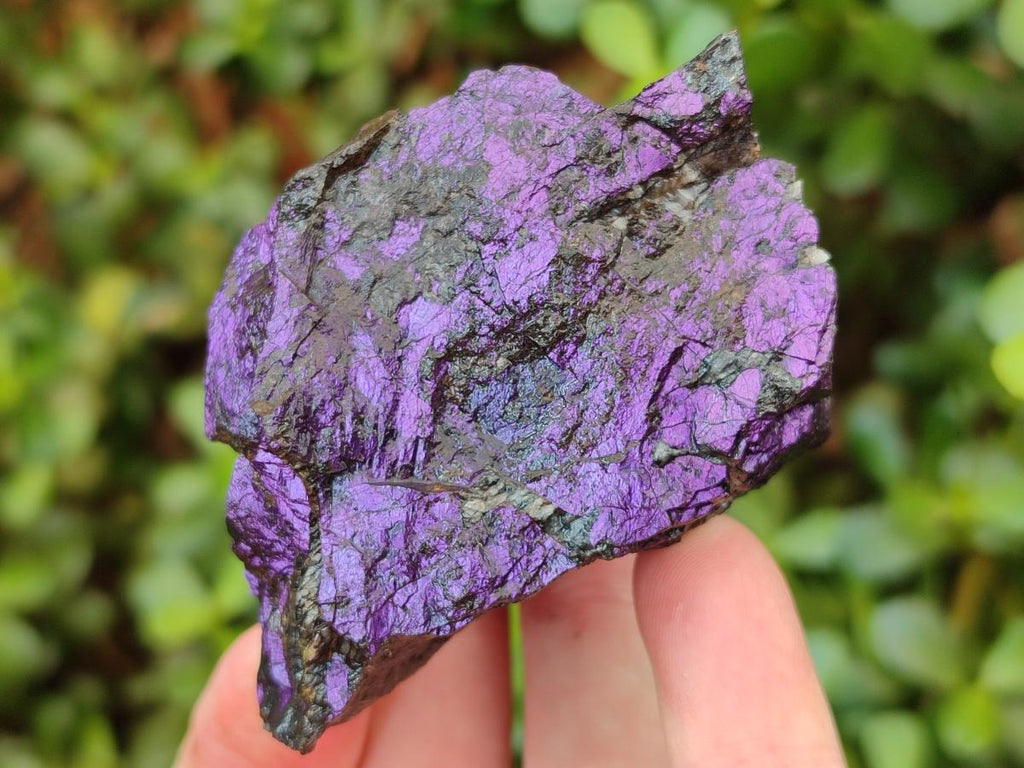 Natural Metallic Cobbed Purpurite Specimens x 12 From Erongo, Namibia