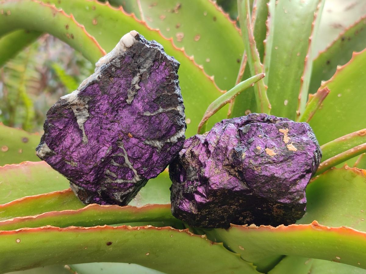 Natural Metallic Cobbed Purpurite Specimens x 12 From Erongo, Namibia