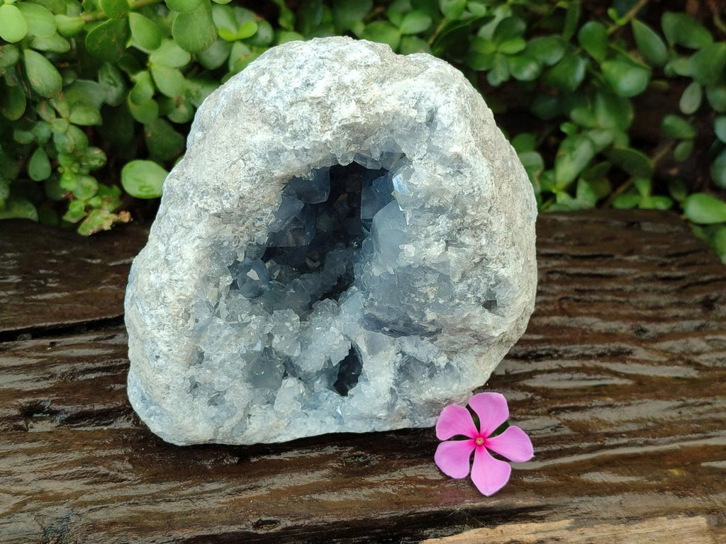Natural Blue Celestite Geode Specimen x 1 From Sakoany, Madagascar