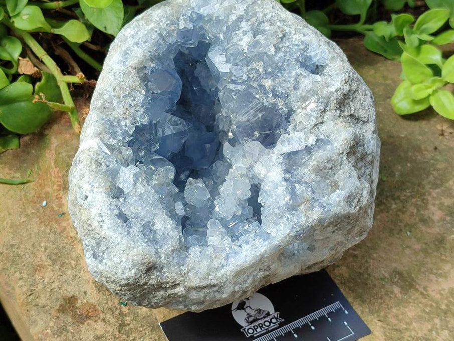 Natural Blue Celestite Geode Specimen x 1 From Sakoany, Madagascar