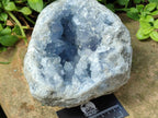 Natural Blue Celestite Geode Specimen x 1 From Sakoany, Madagascar