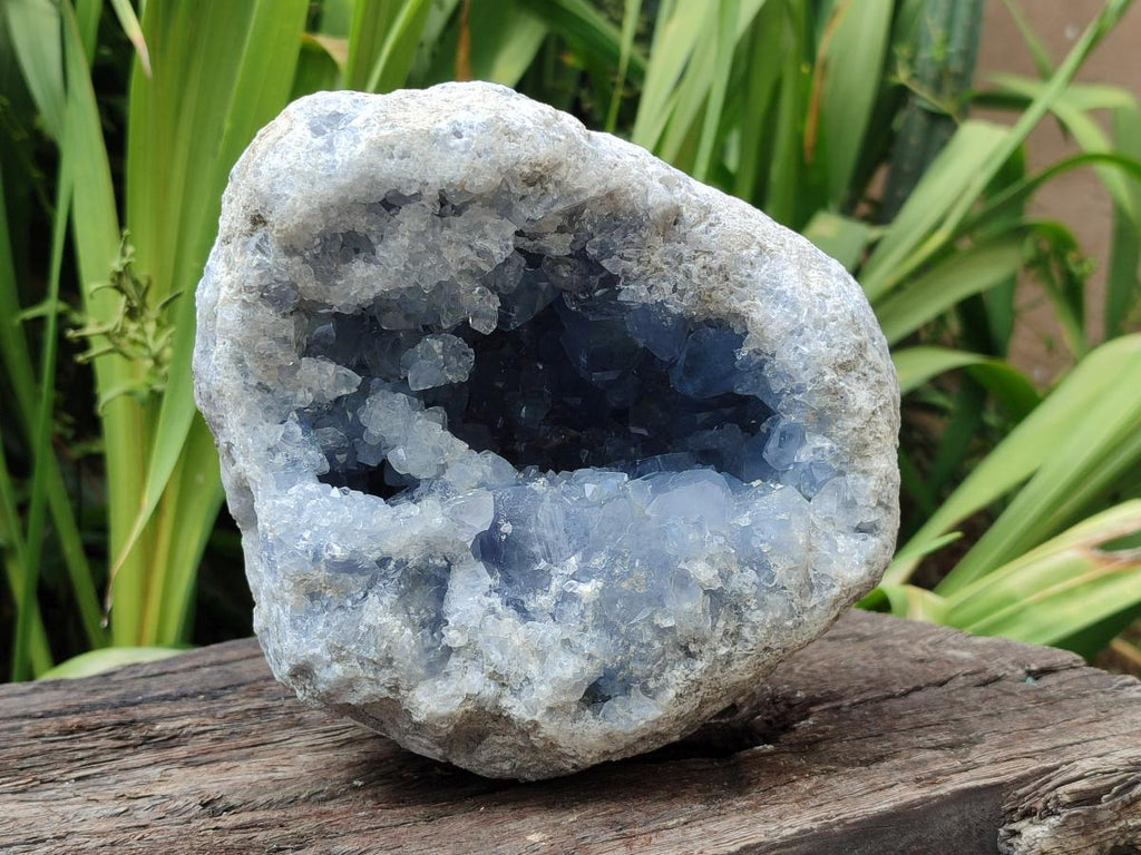 Natural Blue Celestite Geode Specimen x 1 From Sakoany, Madagascar