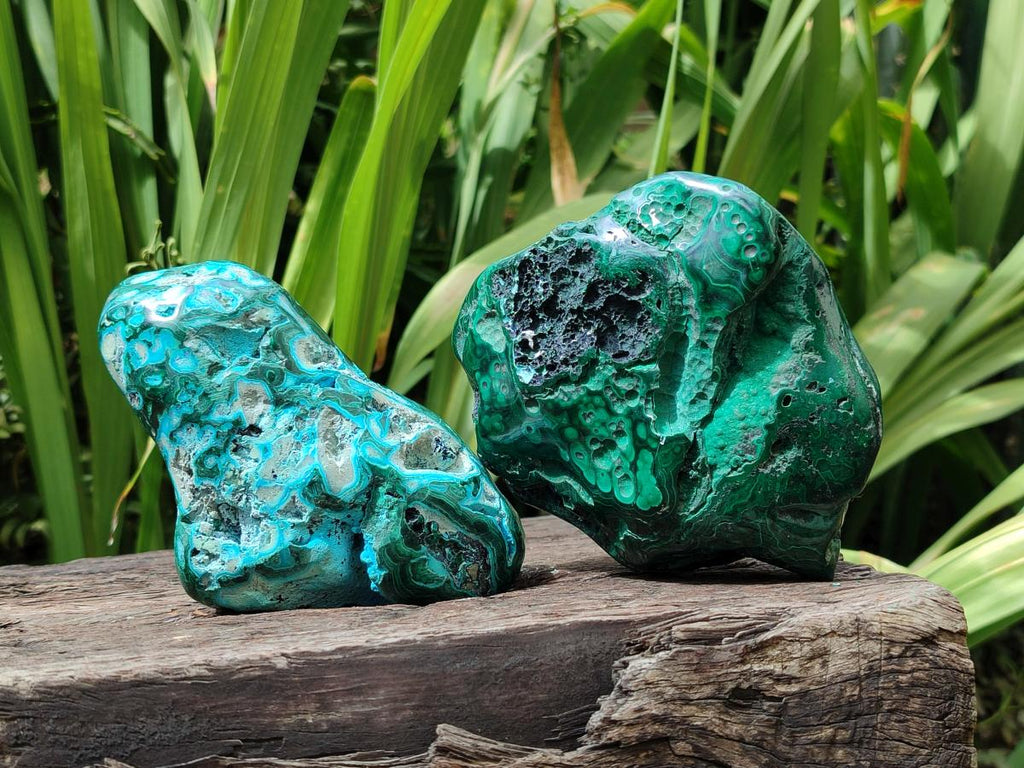 Polished Flower Banded Malachite and Malacolla Free Forms x 2 From Congo