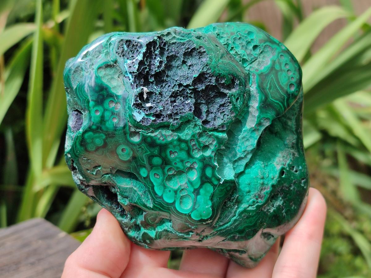 Polished Flower Banded Malachite and Malacolla Free Forms x 2 From Congo