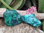 Polished Flower Banded Malachite and Malacolla Free Forms x 2 From Congo