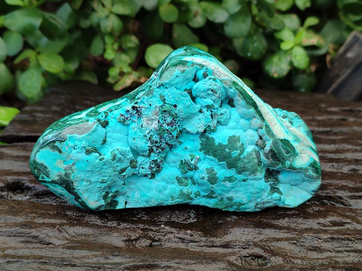 Polished Flower Banded Malachite and Malacolla Free Forms x 2 From Congo