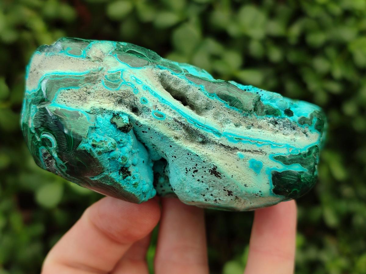 Polished Flower Banded Malachite and Malacolla Free Forms x 2 From Congo