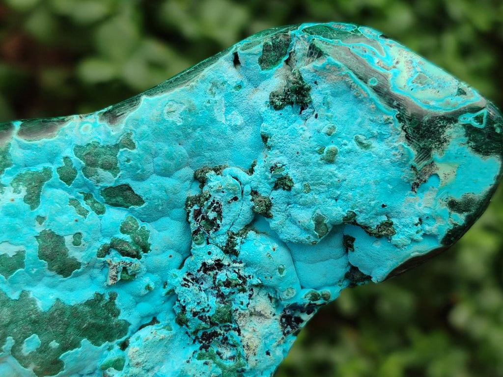 Polished Flower Banded Malachite and Malacolla Free Forms x 2 From Congo