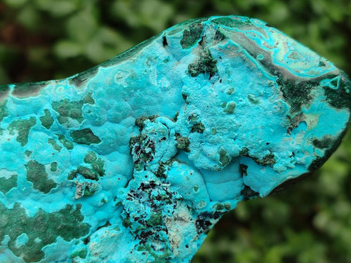 Polished Flower Banded Malachite and Malacolla Free Forms x 2 From Congo