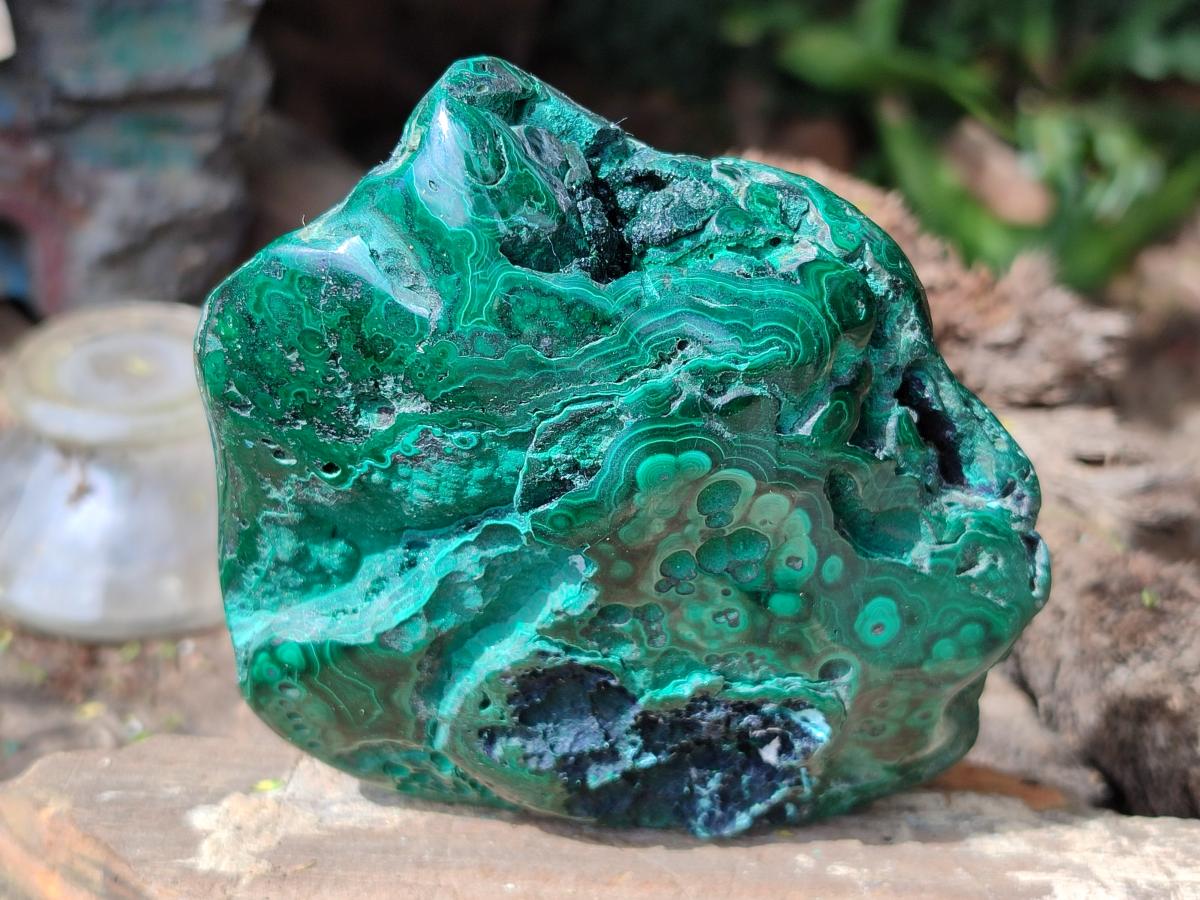 Polished Flower Banded Malachite and Malacolla Free Forms x 2 From Congo