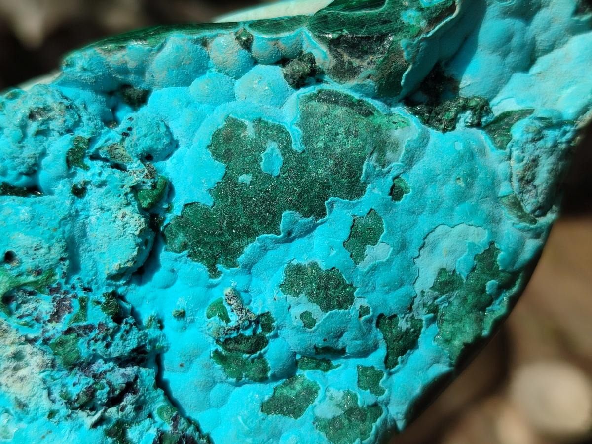 Polished Flower Banded Malachite and Malacolla Free Forms x 2 From Congo