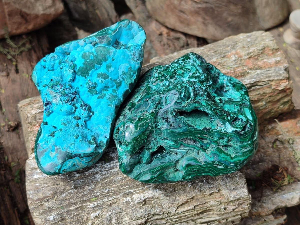Polished Flower Banded Malachite and Malacolla Free Forms x 2 From Congo