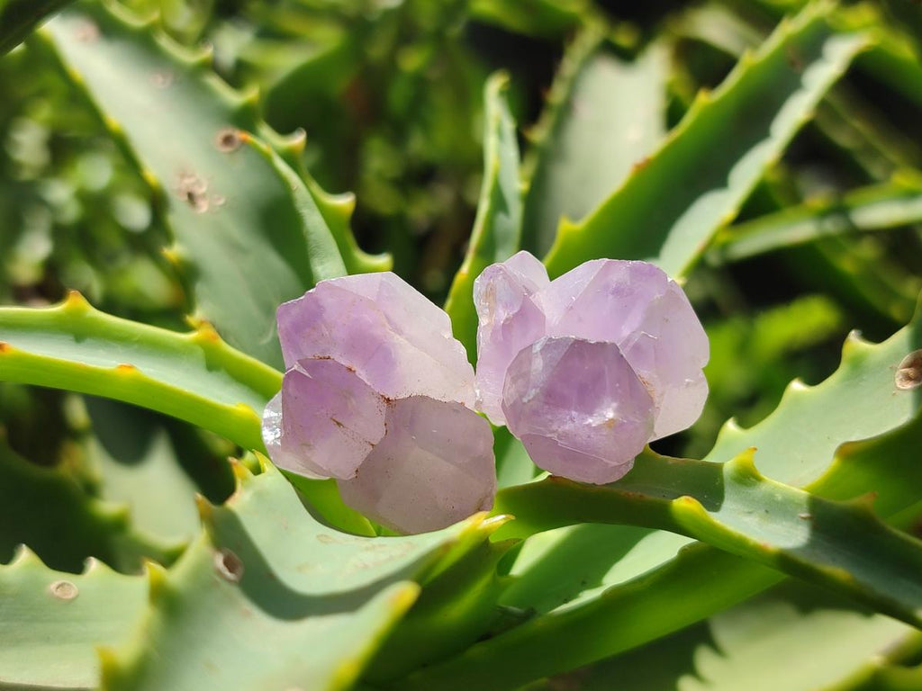 Natural Lilac Amethyst Crystals x 2.99 kg Lot From Madagascar